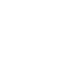 Social icon 2